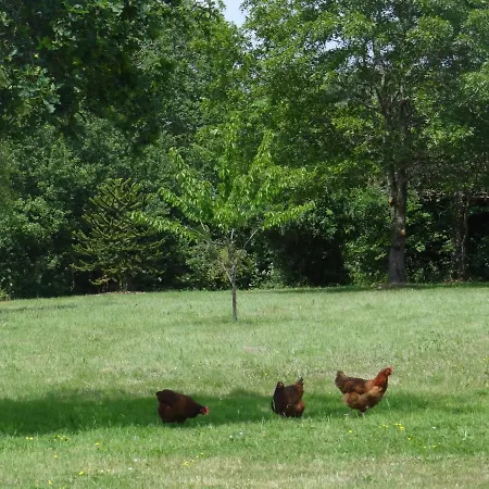 Domaine Des Coutelleries * Sallertaine