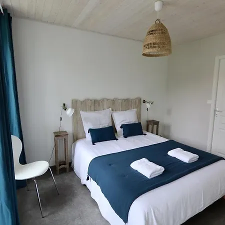 Domaine Des Coutelleries * Sallertaine