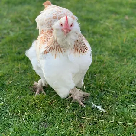 Domaine Des Coutelleries *