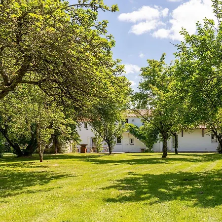 Domaine Des Coutelleries Casa vacanze Sallertaine