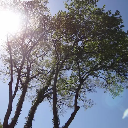 Holiday home Domaine Des Coutelleries *