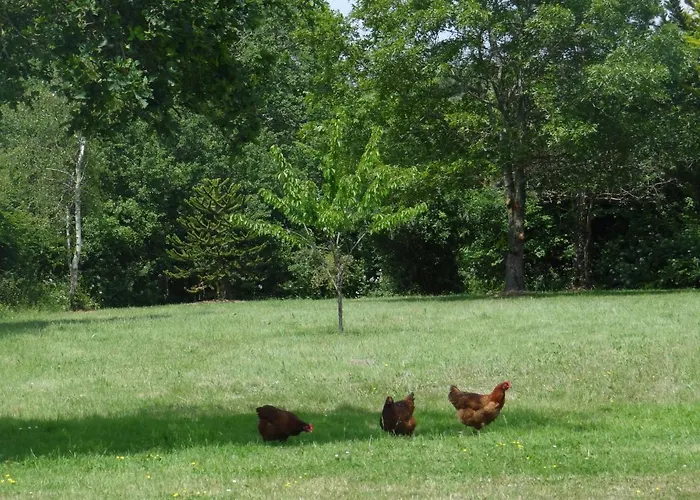 Domaine Des Coutelleries * Sallertaine