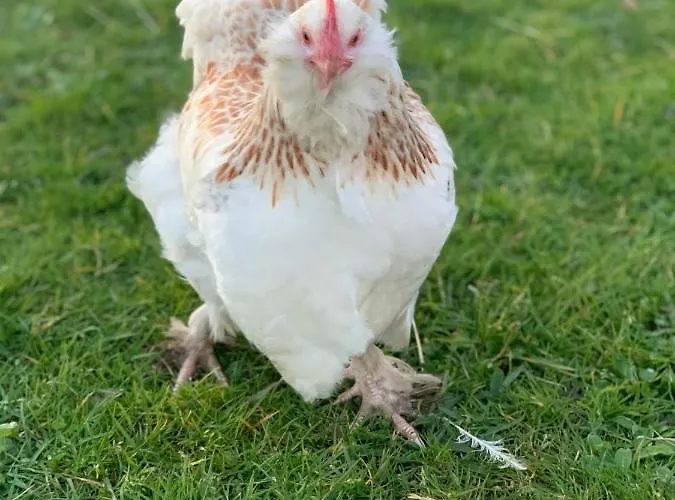 Domaine Des Coutelleries *