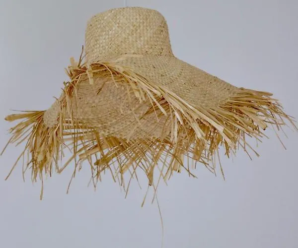 Domaine Des Coutelleries * Sallertaine