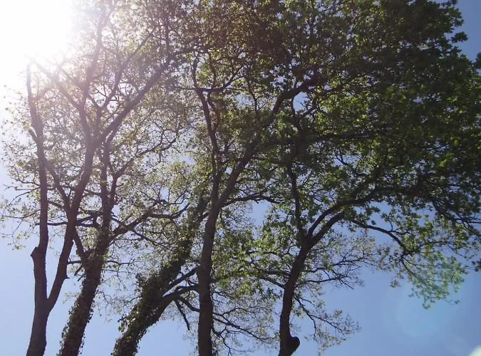 Σπίτι διακοπών Domaine Des Coutelleries *