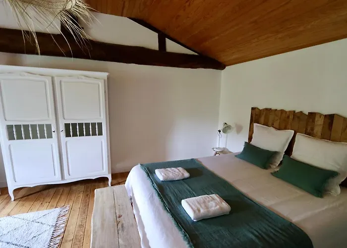 Domaine Des Coutelleries Sallertaine